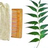neem comb